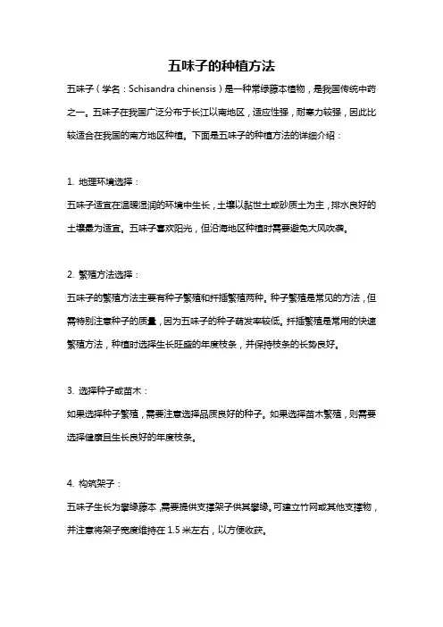 五味子的种植方法