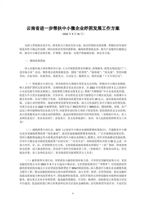 云南省进一步帮扶中小微企业纾困发展工作方案