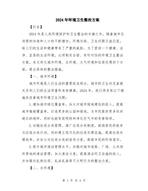 2024年环境卫生整治方案