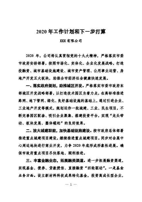 2020年工作计划和下一步打算