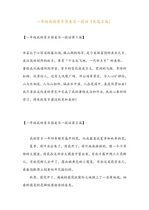 一年级我的家乡很美写一段话(优选3篇)