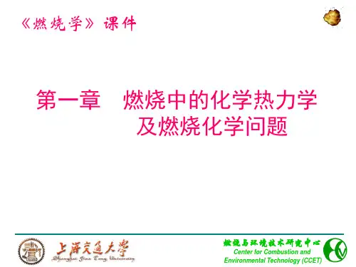 燃烧中的化学热力学及燃烧化学问题