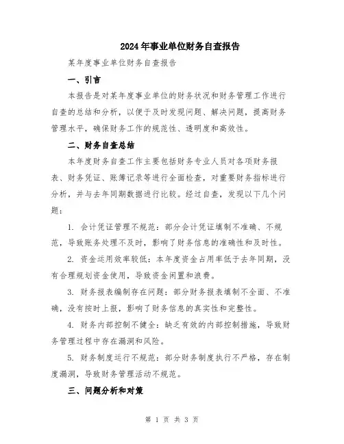 2024年事业单位财务自查报告