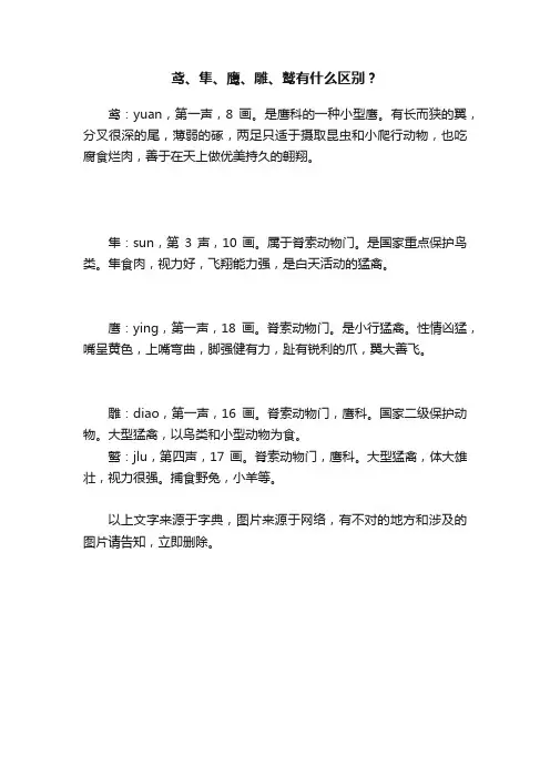 鸢、隼、鹰、雕、鹫有什么区别？