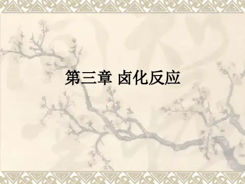 第三章 卤化反应ppt课件
