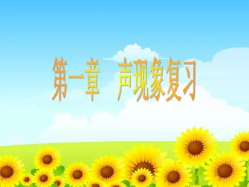 第一讲 声现象总复习