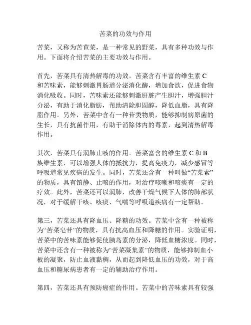 苦菜的功效与作用