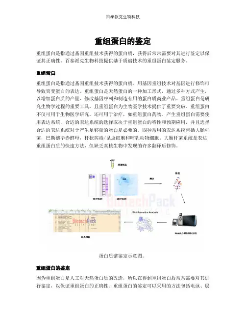 重组蛋白的鉴定