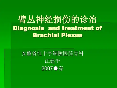 臂丛神经损伤的诊治