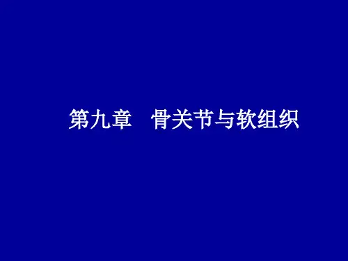 骨关节与软组织精品PPT课件