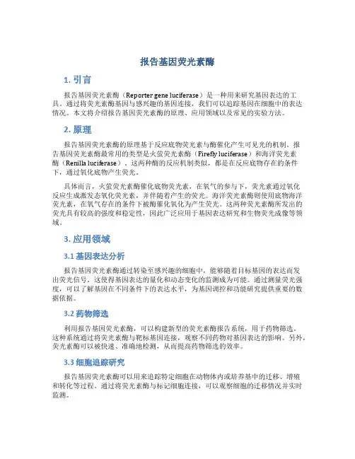 报告基因荧光素酶