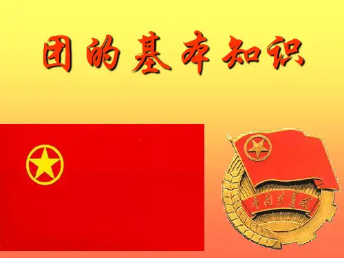 团的基本知识