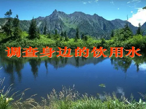 初中化学《调查身边的饮用水》PPT课件