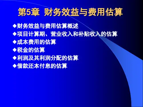(05)第5章财务效益与费用估算