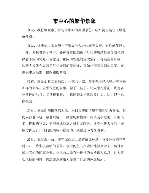 小学三年级作文这儿真美范文市中心的繁华景象