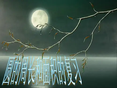 六年级下数学复习课件-圆的周长和面积_北师大版