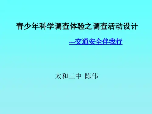 6.交通秩序我维护 (2)