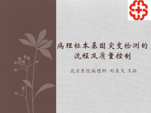 4病理标本基因突变检测的流程及质量控制