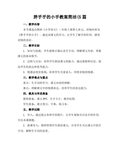 胖乎乎的小手教案简洁5篇