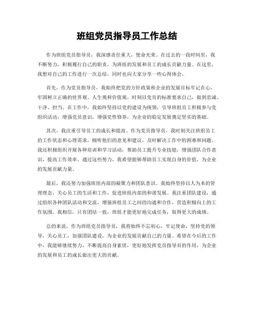 班组党员指导员工作总结