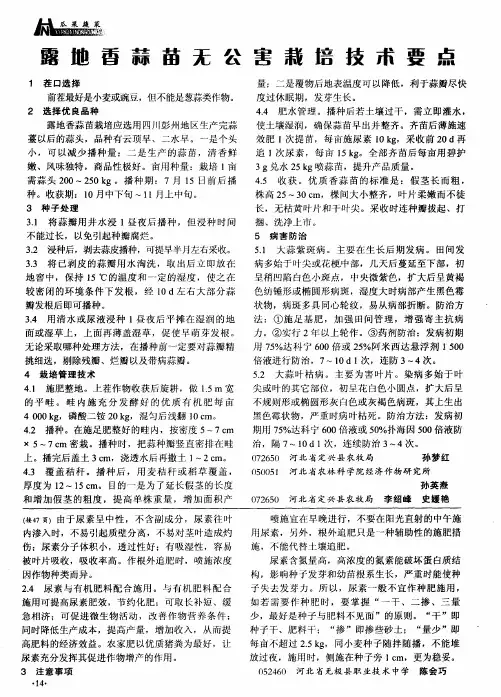 露地香蒜苗无公害栽培技术要点