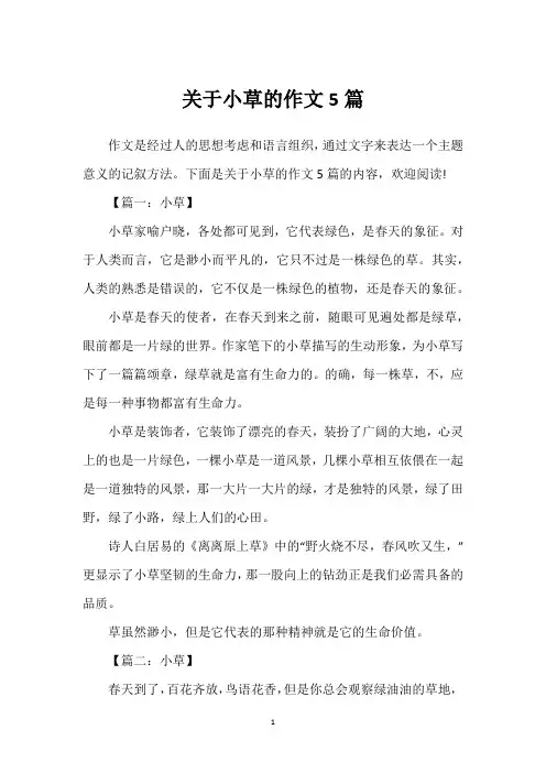 关于小草的作文5篇