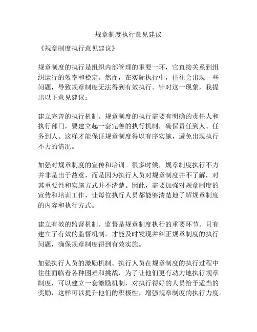 规章制度执行意见建议