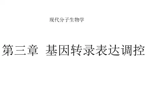 基因转录表达调控页PPT文档