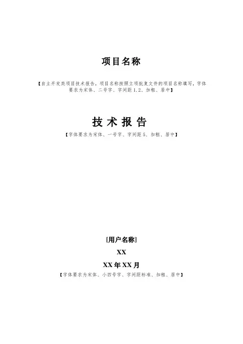 技术报告模板(自主开发类)