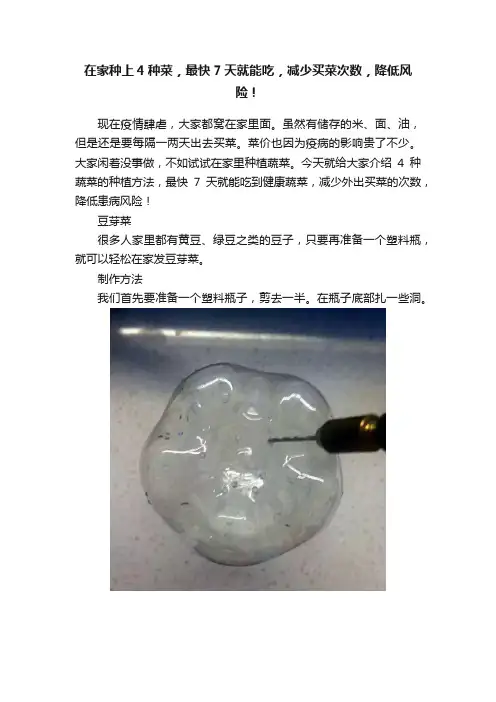 在家种上4种菜，最快7天就能吃，减少买菜次数，降低风险！