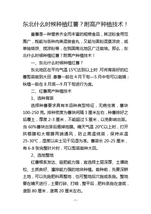 东北什么时候种植红薯？附高产种植技术!