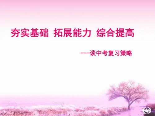夯实基础 拓展能力 综合提高