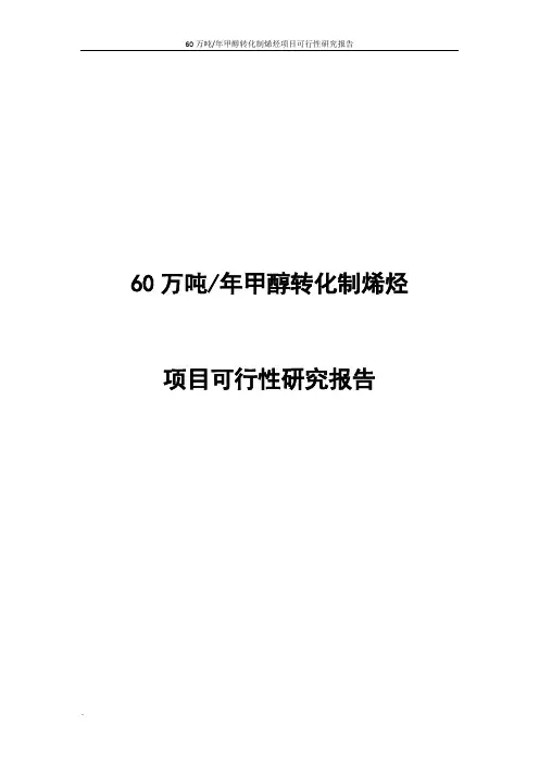 年产60万吨甲醇转化制烯烃项目可行性研究报告