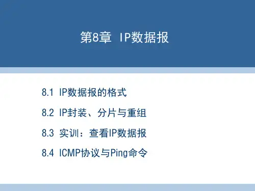 第8章 IP数据报