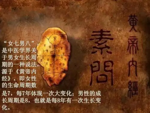 黄帝内经揭秘“女七男八”的生命规律模板