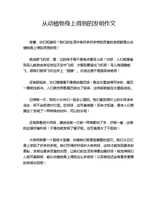 从动植物身上得到的发明作文