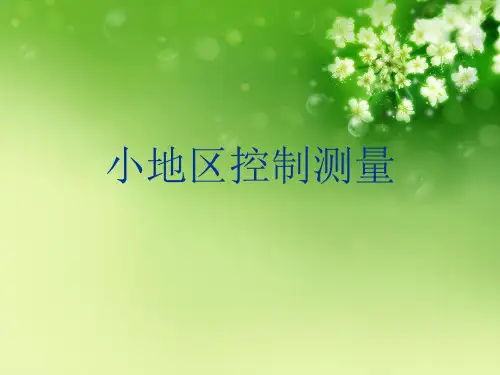 小地区控制测量优秀课件