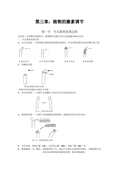 3.1 生长素的发现过程知识点