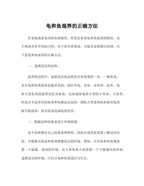 龟和鱼混养的正确方法