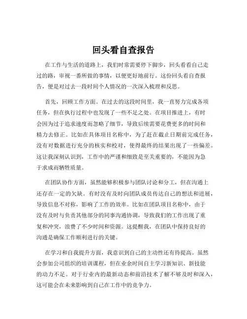 回头看自查报告