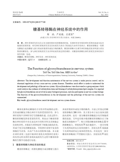 糖基转移酶在神经系统中的作用