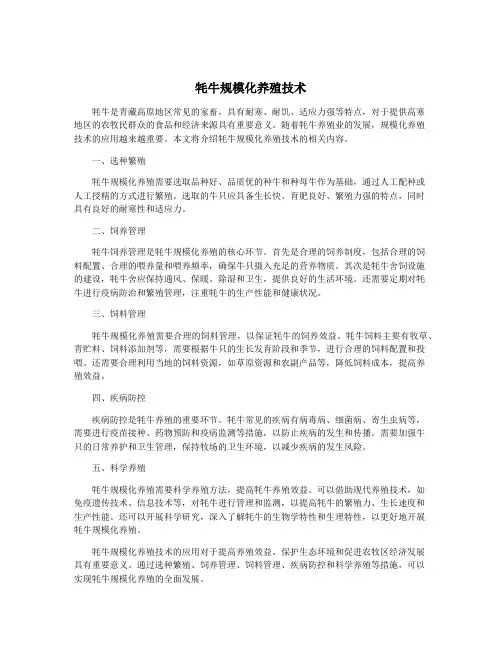 牦牛规模化养殖技术