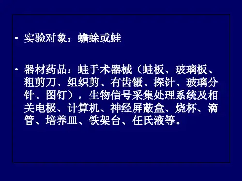 神经干AP引导及其传导速度与不应期的测定课件-文档资料