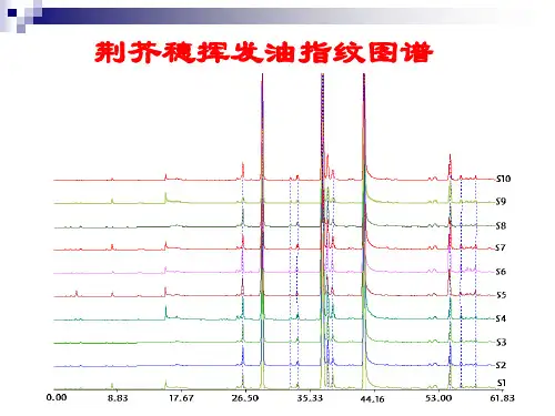 中药的指纹图谱研究