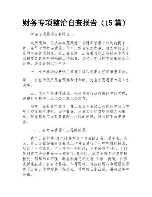 财务专项整治自查报告(15篇)