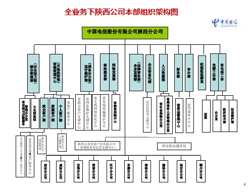 陕西电信省市公司组织架构图