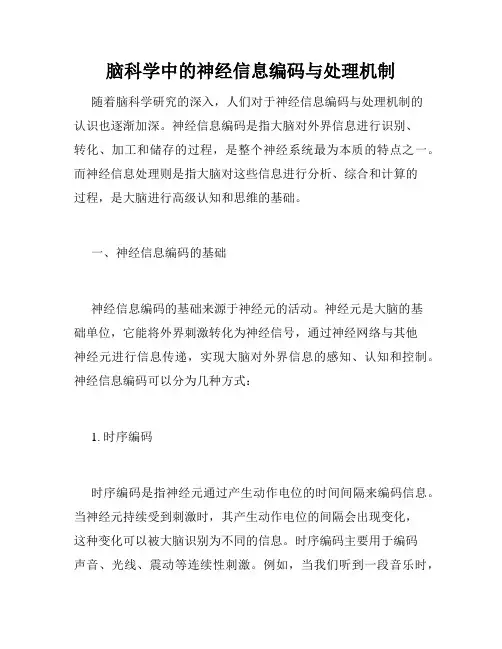 脑科学中的神经信息编码与处理机制