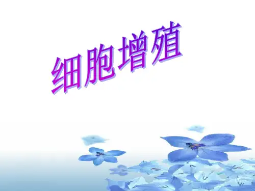 高三一轮复习有丝分裂