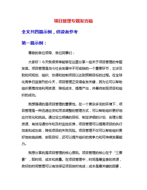 项目管理专题发言稿