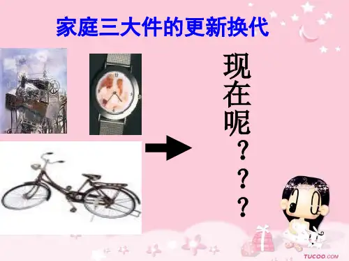 第七课第三框《学会合理消费》课件 (人教新课标九年级上) 20ppt--初中政治
